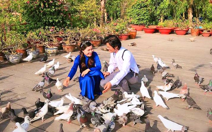 1. Hàng trăm chú chim bồ câu thân thiện vây quanh du khách.