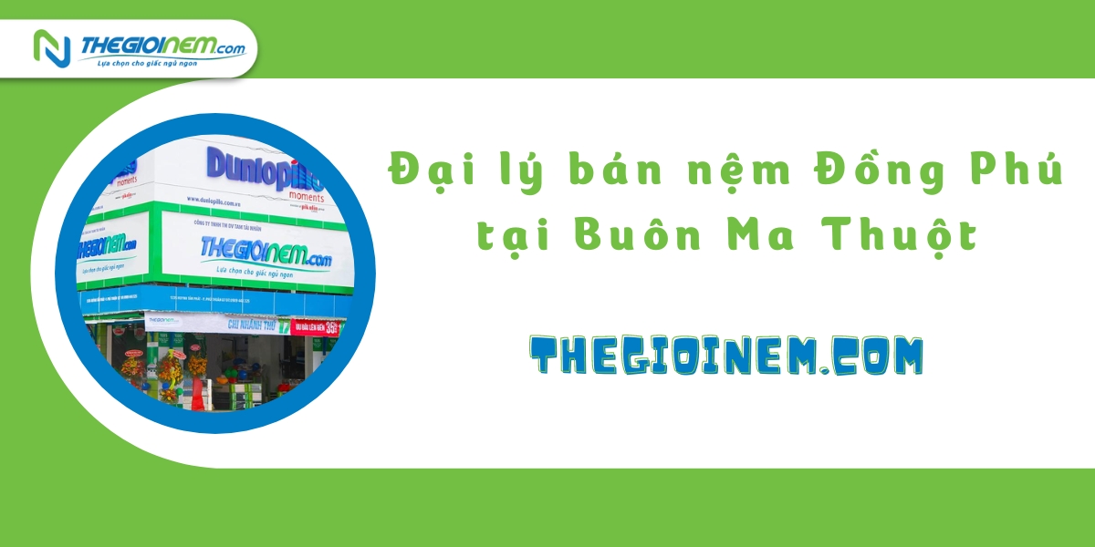 Đại lý bán nệm Đồng Phú tại Buôn Ma Thuột | Thegioinem.com