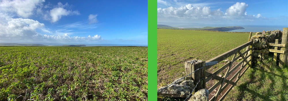 Beautiful scenery to be enjoyed while on holiday at Pickwell Barton Holiday Cottages, North Devon. 