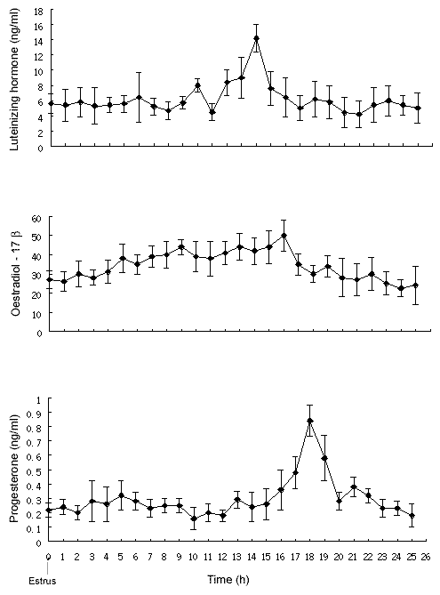 Mean concentrations (+/-SD) of LH (n=6), oestradiol-17b (n=5) and progesterone (n=5) in peripheral plasma taken at 1 hour intervals around the time of estrus.