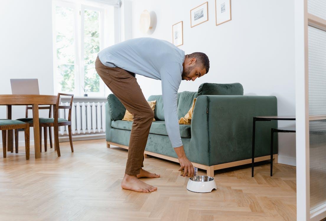 Free Man in Long Sleeves and Brown Pants Putting Dog Treats on Bowl  Stock Photo