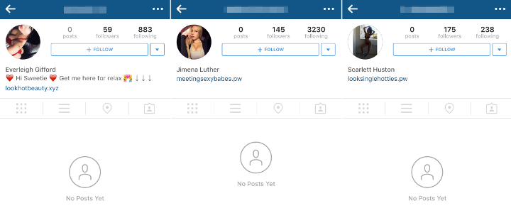 Instagram fake followers profile