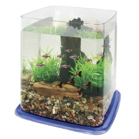 Bettera BETTA BATTLE PARADISE (6.4 l) — ICA S.A.
