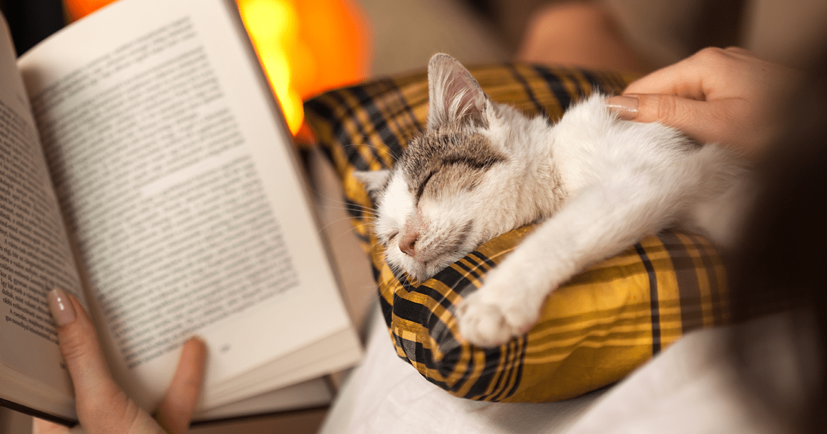 Cat sleeping on a woman's lap while she reads a book in front of a fire