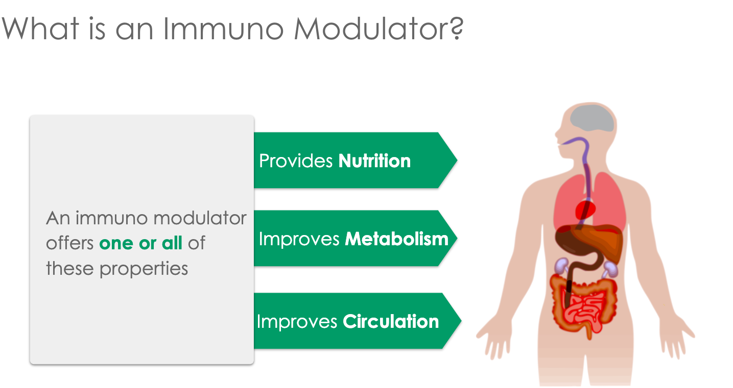 What is an immuno modulator according to Ayurveda?