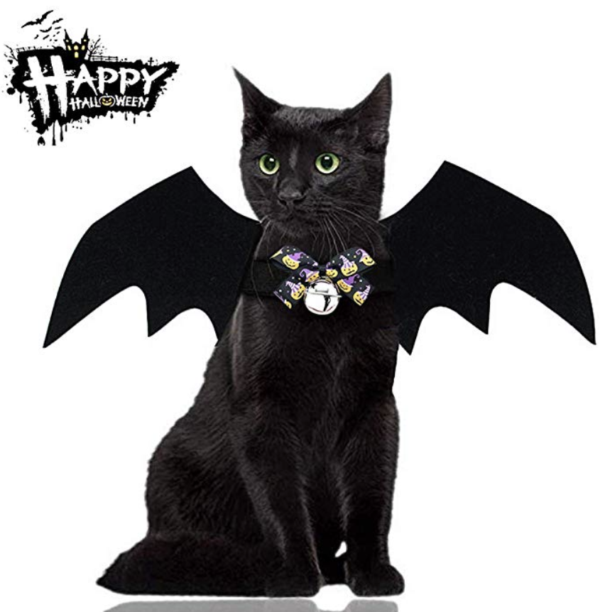 bat cat halloween costume