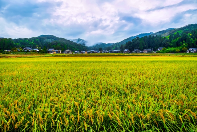 秋田移住に関する補助金・支援金まとめ！