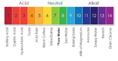Step 1: How do we measure Acids and Alkali? | Student Agency In Learning