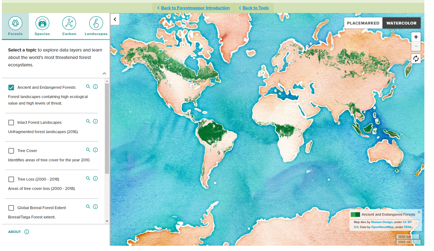 Canopy ForestMapper Application Graphic