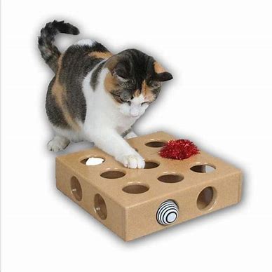 Cat Puzzle Toy