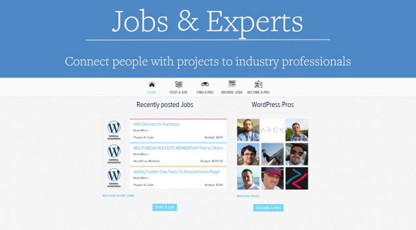 wpmu Dev Jobs & Experts Plugin