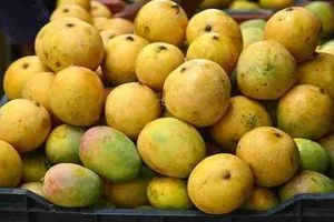 Mango benefits in Tamil