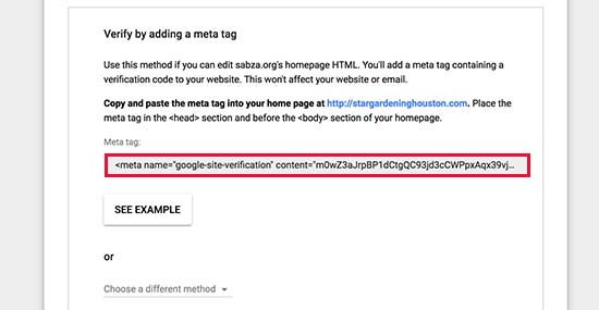 Copie a metatag para verificar sua propriedade do nome de domínio