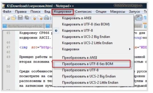 KOI-8 и ASCII – все о кодировании символов