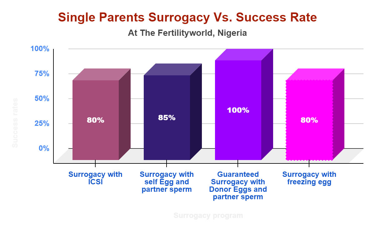 Single Parents Surrogacy Success rate in Nigeria