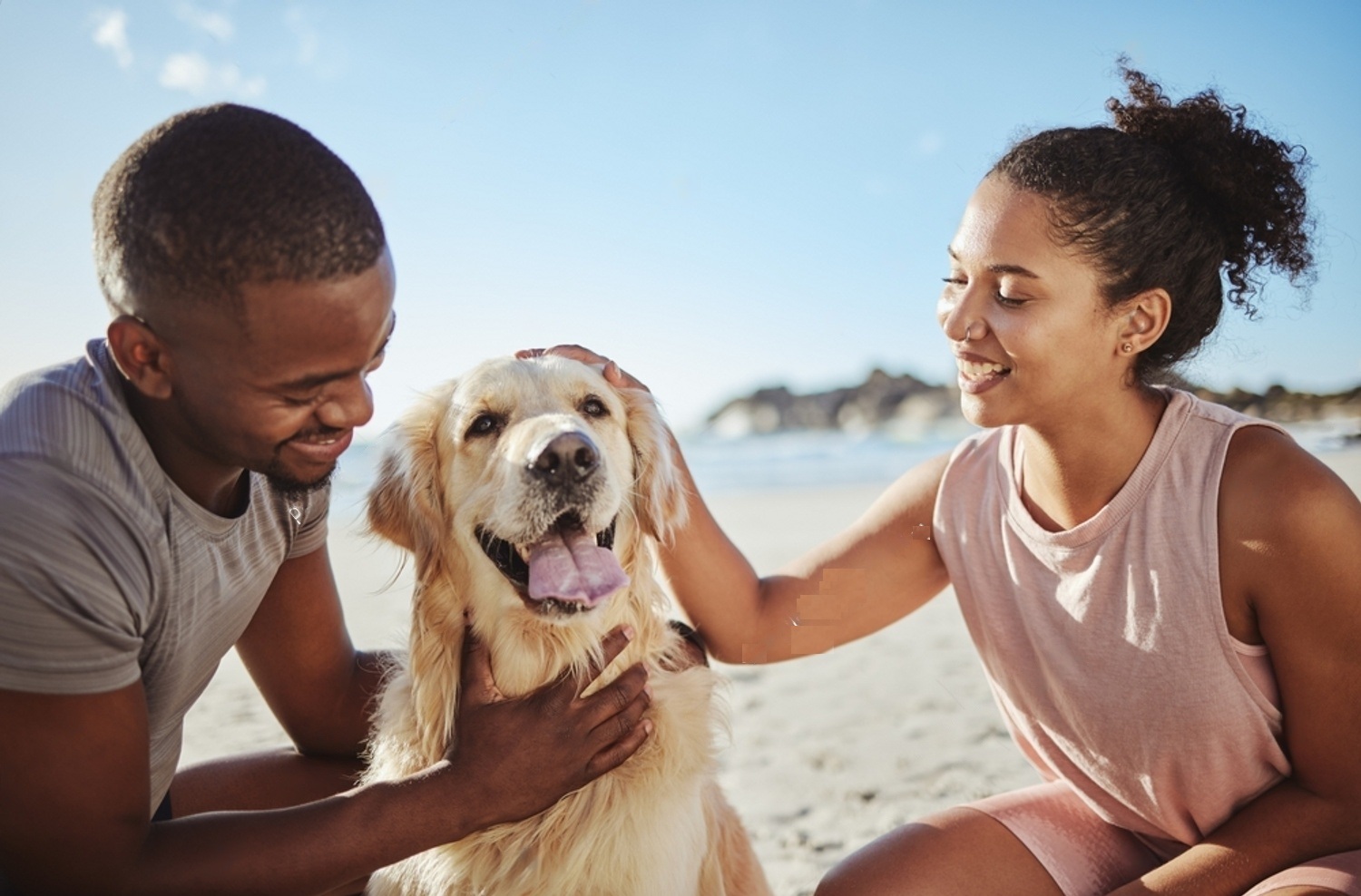 Why Do Dogs Like To Be Pet? 5 YFhlGzkh1mG9Av7jyUj7aW YRn6OFps0JxArOnnJXlgxMvuhFtRikckVhwJtUTnDuplm9qweVvLxkRRFNQUD8FFA58yqTFPXMvUHQf HitplOSfbblRpRBT