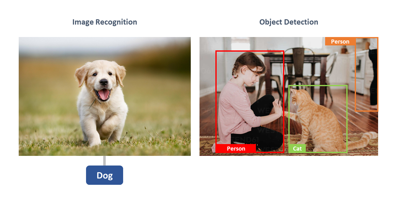 An image showing the difference between image recognition and object detection