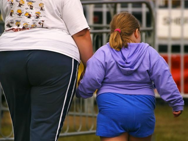 http://the-menace-of-obesity.com/wp-content/uploads/2011/09/obesity.jpg