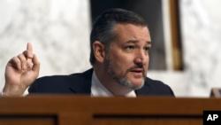 共和党联邦参议员克鲁兹(Sen. Ted Cruz, R-TX)