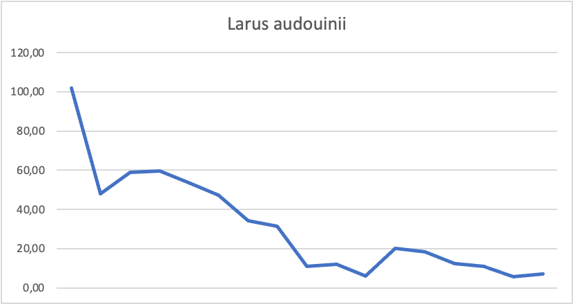 Gráfica de abundancia de Gaviota de Audouin en el Paraje Natural de Los Lances