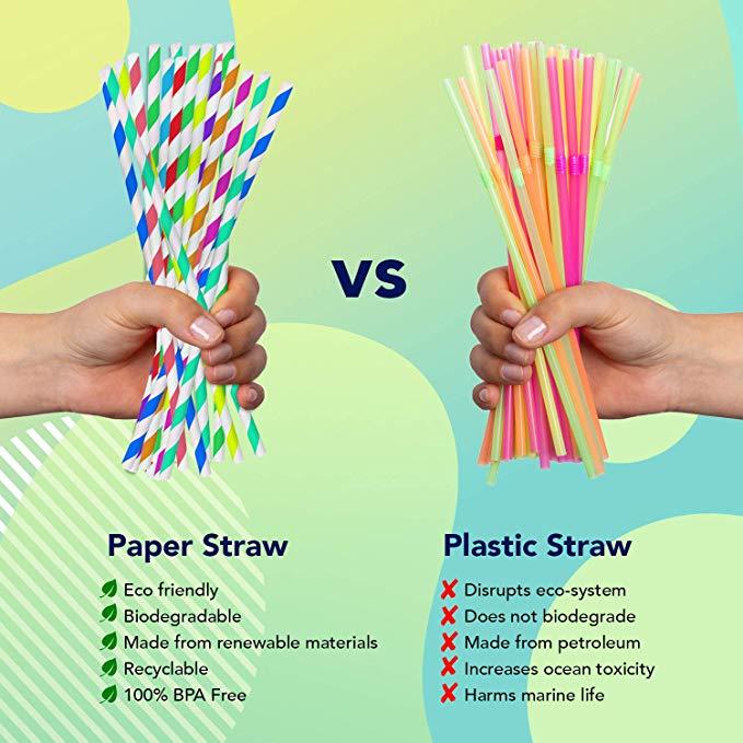 Biodegradable vs. plastic straw 