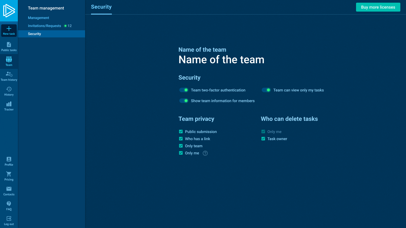 Manage team security 