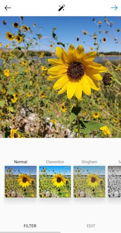 How to post on Instagram step 5: pick a filter
