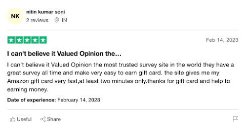 Five star Trustpilot testimonial giving Valued Opinions review. 