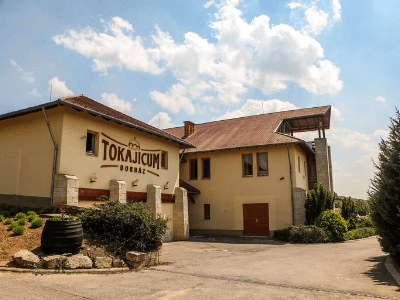 Tokajicum Borház