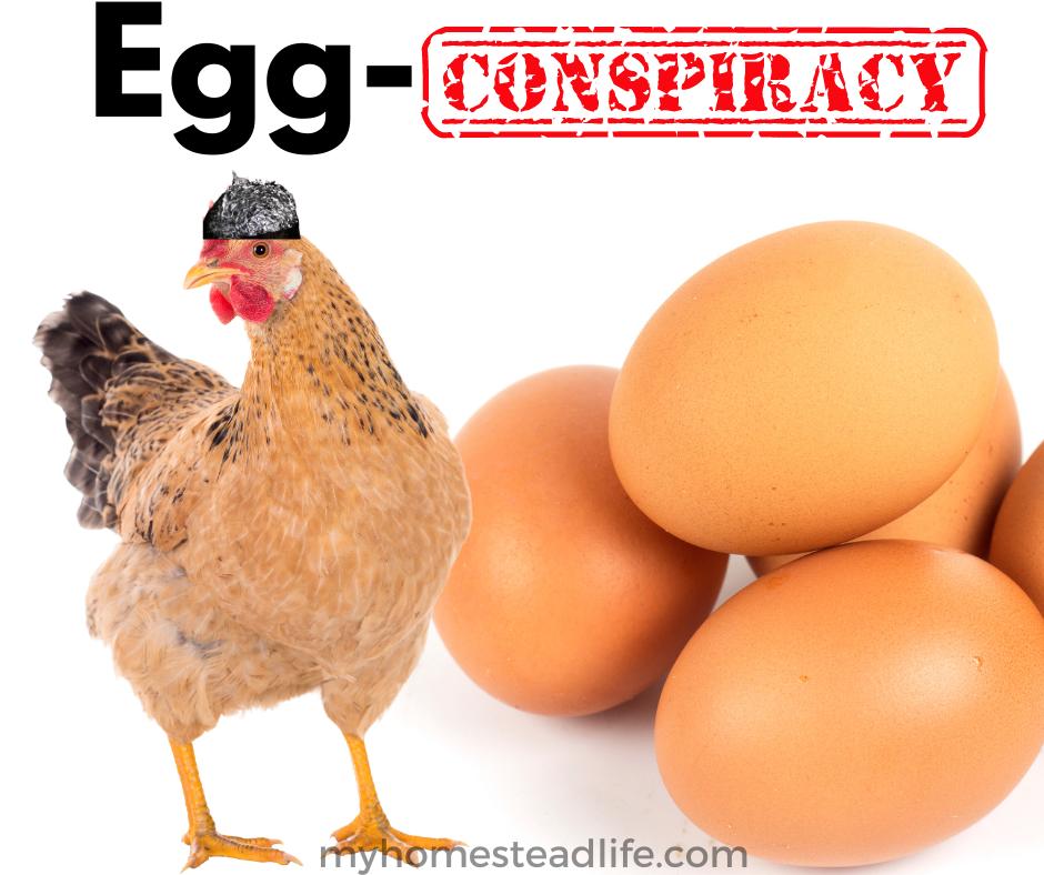 egg-conspiracy-about-spraying-eggs-brown