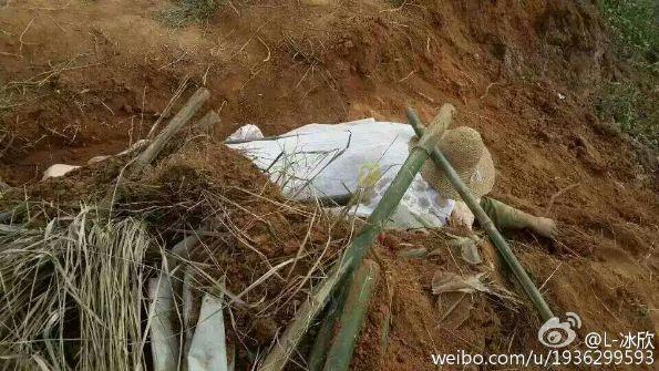 云南江川镇长带队强征土地挖机压死维权村民
