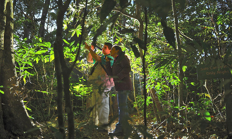 Children’s Eternal Rainforest Reserve