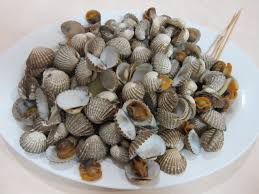 Image result for cockles
