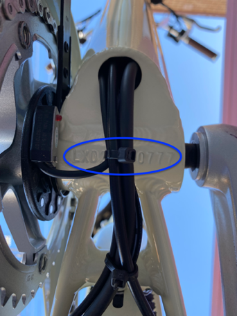 A close-up of a bicycle handlebar

Description automatically generated with medium confidence