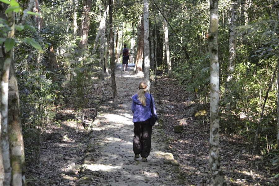 Мексика. И станут направления дорогами.