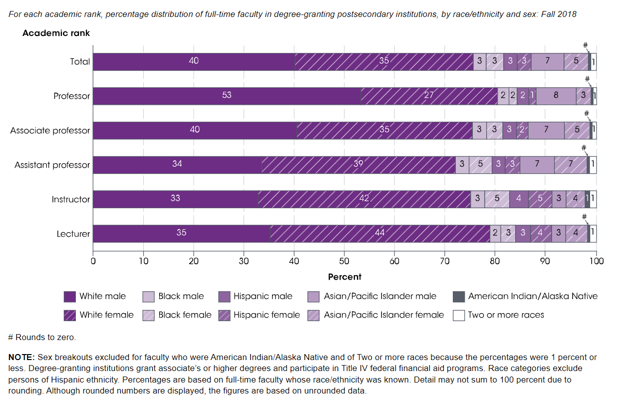 Image 2: Faculty diversity in the United States