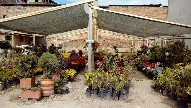 Reseñas de Vivero Plantaciones Del Tundama - Duitama - Centro de jardinería