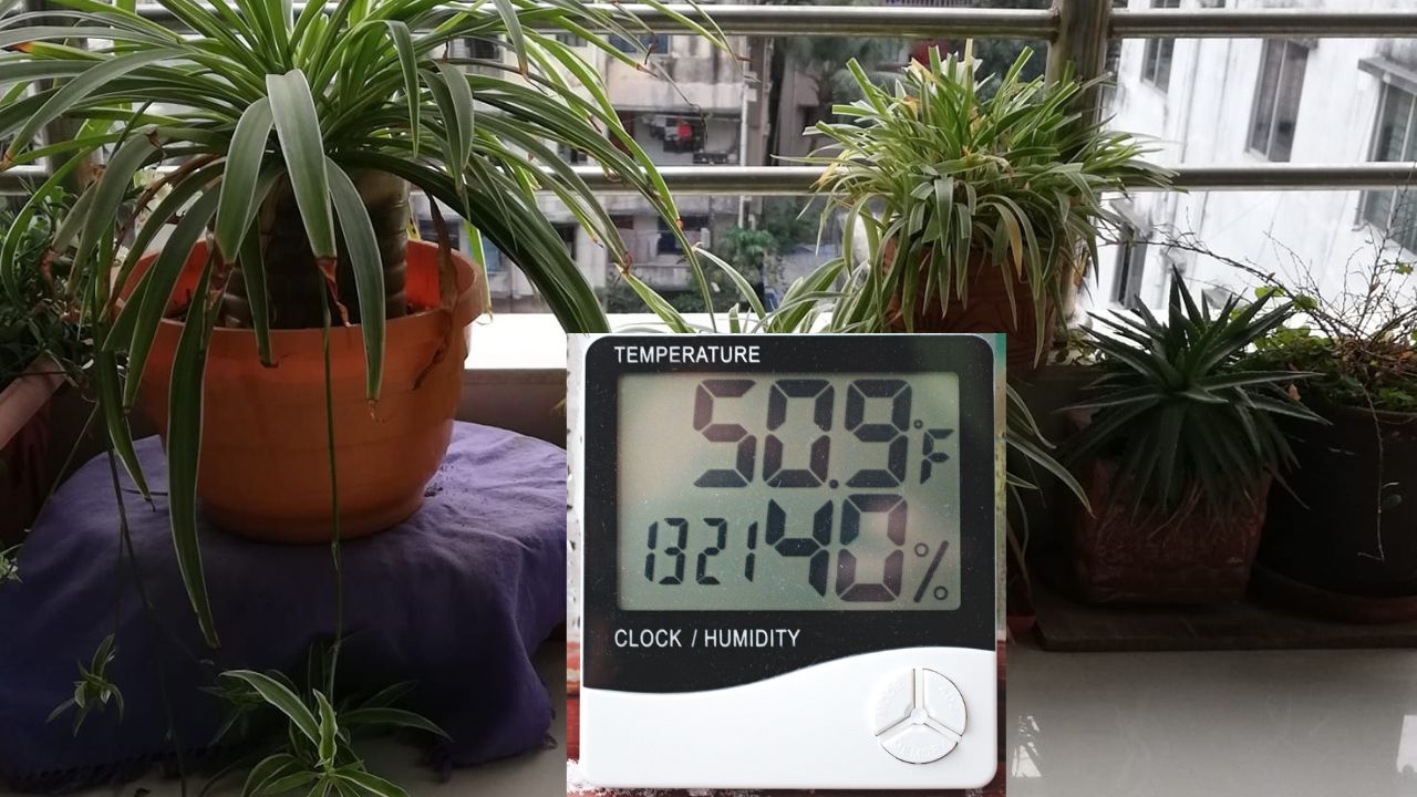 Temperature And Humidity