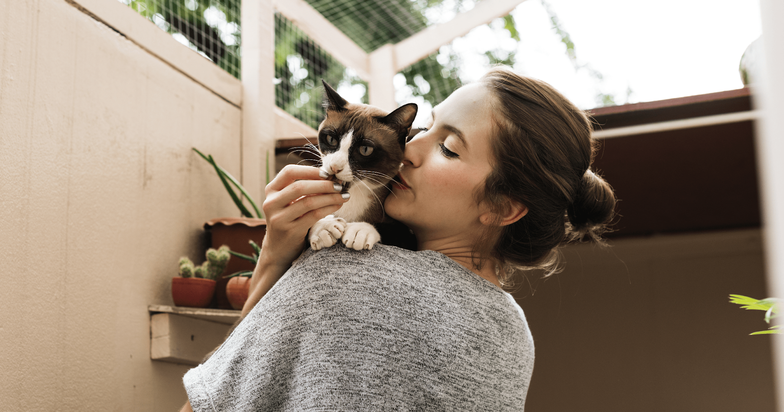 Cat perched over young woman's should receiving a treat