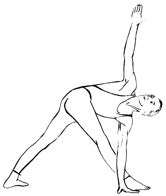 trikonasana.jpg