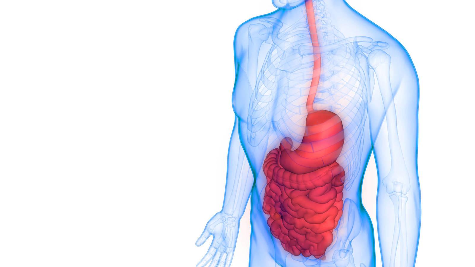 hemorragias en el sistema digestivo
