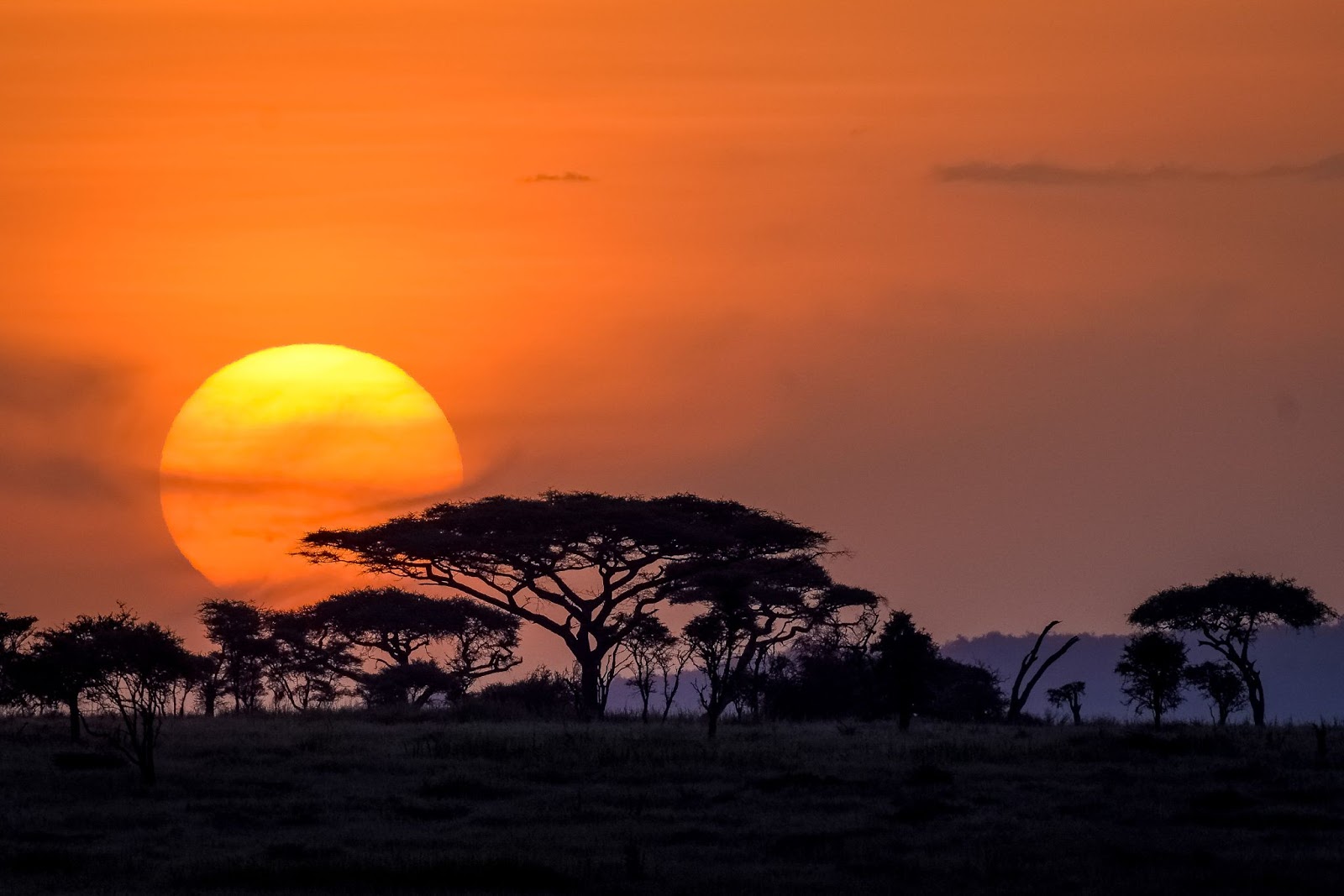 Tanzania's Serengeti park becomes Africas Leading National park by World Travel Awards