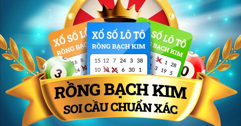 Sơ lược về soi cầu rồng bạch kim vip