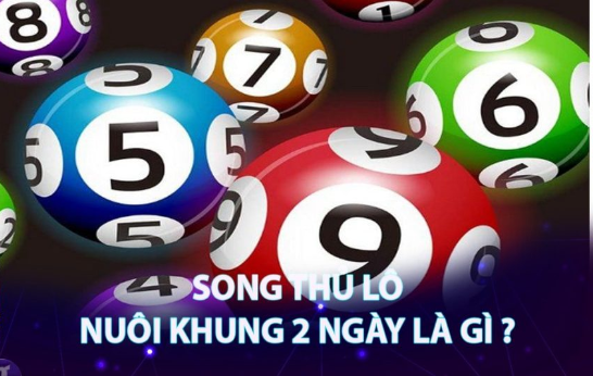 Bật mí cách nuôi cặp song thủ lô khung 2 ngày chuẩn xác nhất Yz5KlVJJ41xoE21Qm1Oz1JXdJf05wH0N_IizPSXIl-J0J3Ycix-Mzz1geayb9AASRVO8DibTv9dHJCgRqsSz4O7Vxi_dUAXrQ4d6ffEsUlEyVJohOl0QmQ69xH6TWsr74F_6K-MjoKwvEngHUNta-w