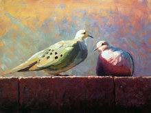 Image result for wild  dove  oilpainting small size