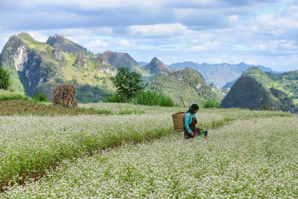 Những gì cần đóng gói cho chuyến du lịch vòng quanh Hà Giang