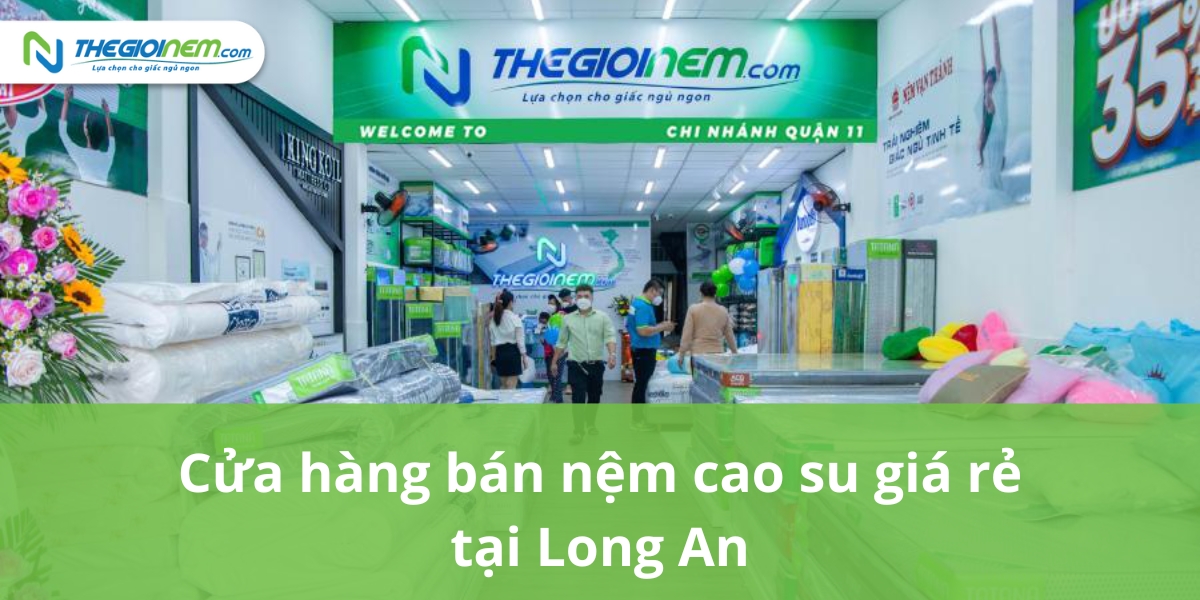 Cửa hàng bán nệm cao su giá rẻ tại Long An | Thegioinem.com
