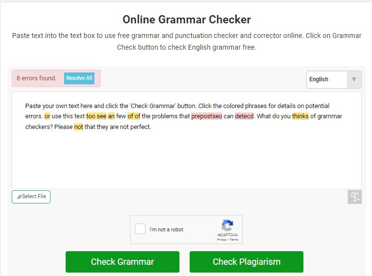 Grammar Checker