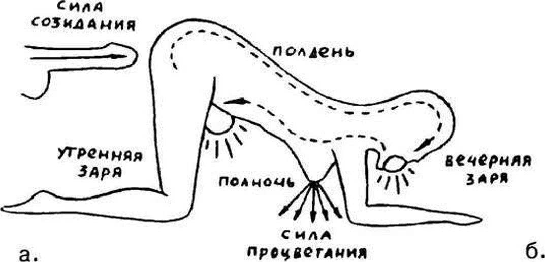 https://lh4.googleusercontent.com/6hrNrTuRWr-gRFtQUiuIrOzTSlG5-EcuOZ8IUUuoH9B_po3ryF9yM9RHtDEM5NpF2VxoJzuuOnX0YaNL6atSMiBMvzQJxnZw4HwG7ZZVY5ibN9vWOSTXldPgff_AejHWOMQHGZKTWDAKC0Uxmkqp