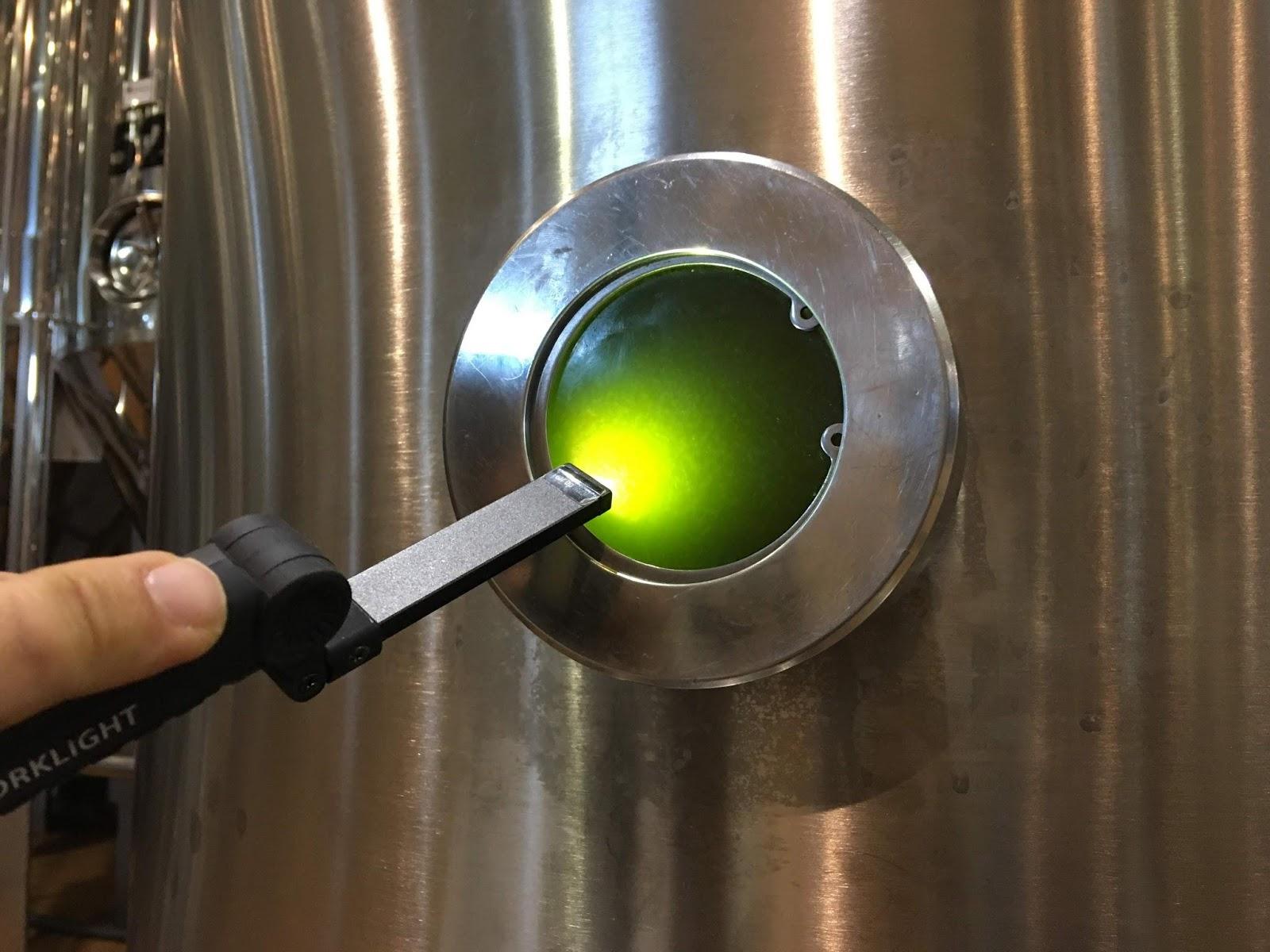 Proceso de filtrado aceite de oliva